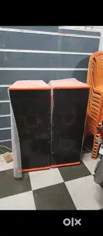 Party speaker