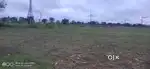 50cent Industrial Land for Sale in Neelambur