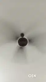 cealing fans