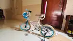 Kids 16T Bike