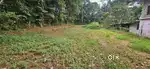 Othara Aalthara Kuttoor road near 19 cent house plot for sale.