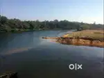 30 minutes from Tripunithura, Ernakulam, riverside plot in Piravom