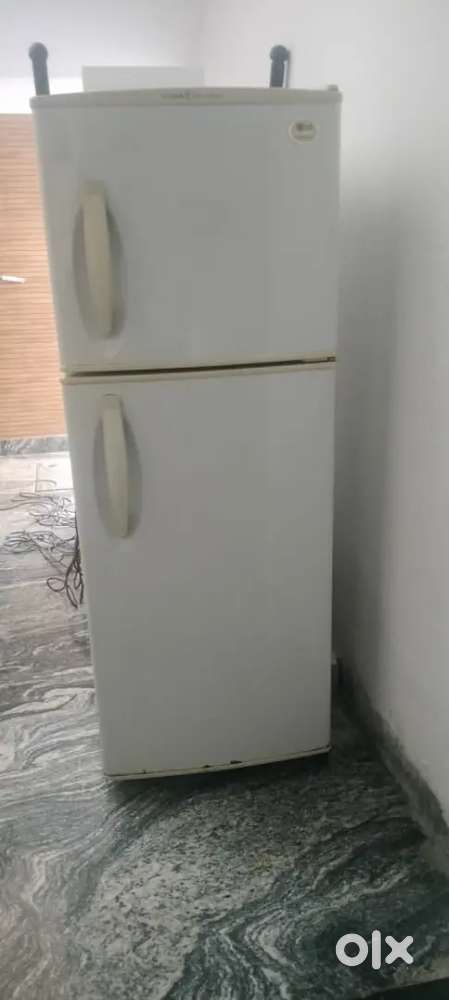 LG 230 lit Double door
