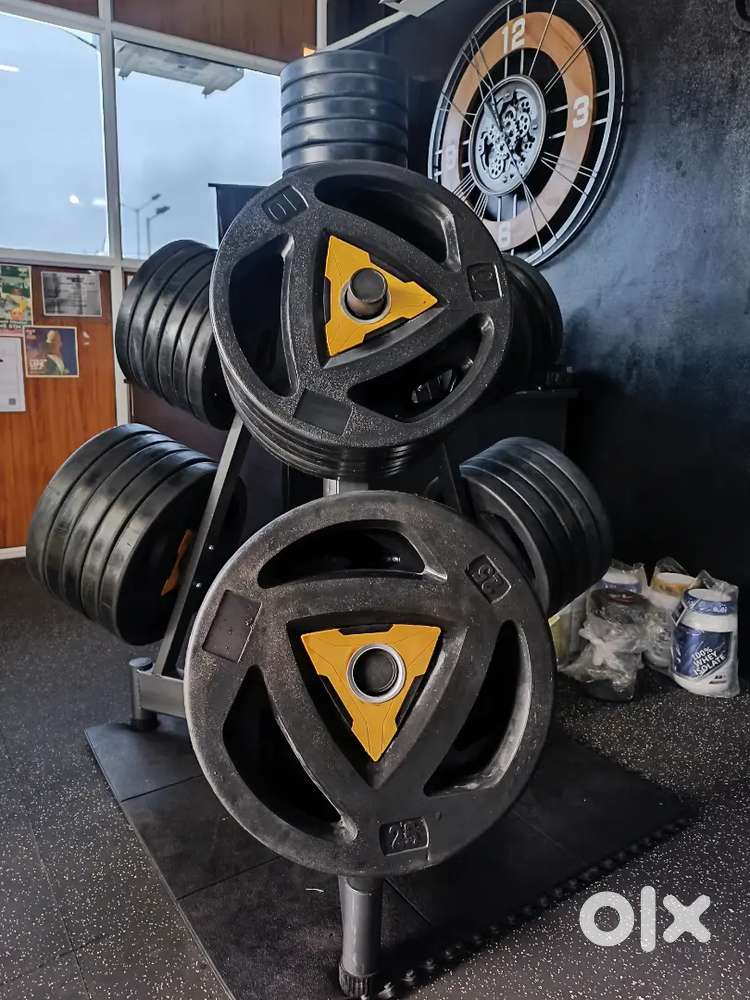 Weight Plates, Dumbbells & Olympic Bars at Wholesale Rate.
