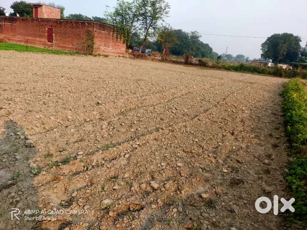 Best plot for agriculture and house