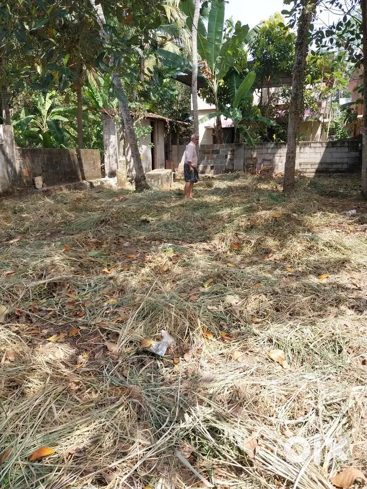 Ideal Residential Plot