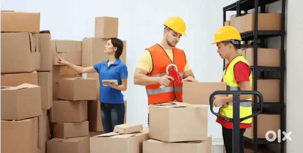 Urgent vacancy garments packing