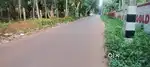 53 CENTS PLOT FOR SALE KARUMKULAM  KANJIRAMKULAM NEAR POOVAR