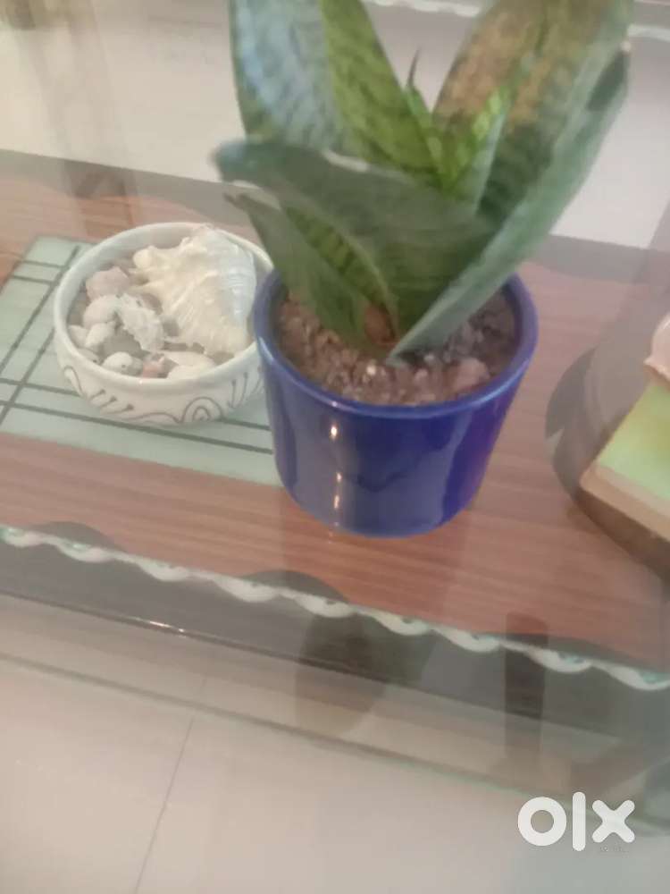 Part Time Job For Female