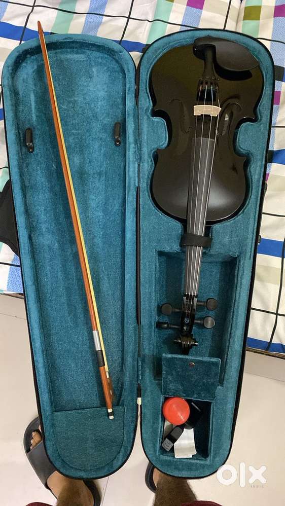 Violin with equipments