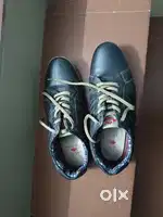 LeeCooper Original Shoes