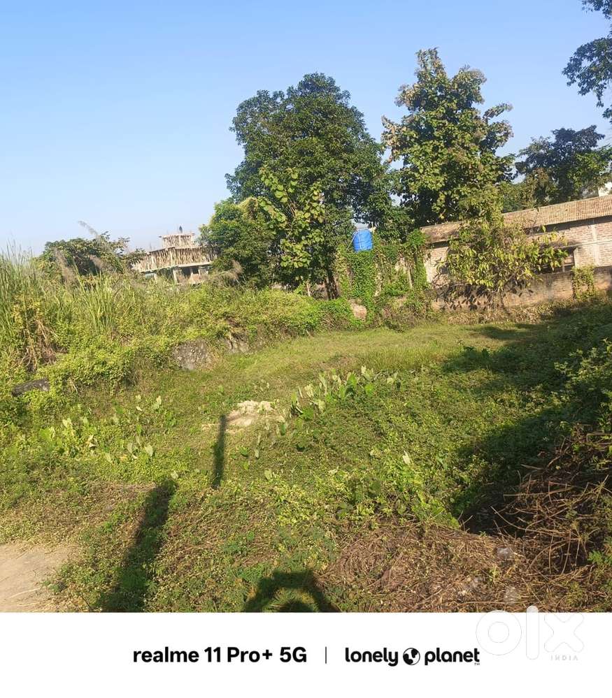 Land for sale at lokhra 1katha and 4 lesa