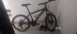 Xbicylcle big size