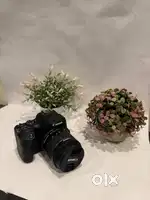 YouTube Studio Setup: Canon 200D II, Lenses, Rode & Shure Mics,