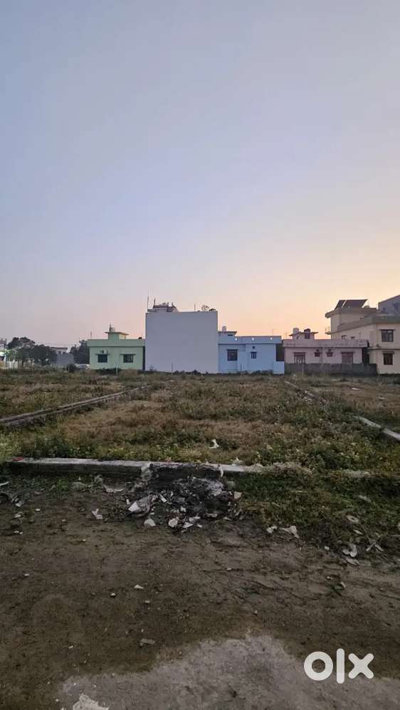 Unchapul mei medium size Plot Bikau hai