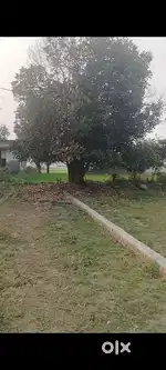 मेरा एक प्लाट (30×57=1711 वर्ग फ़ीट )बिकाऊ है इंदरपुर चौक हल्द्वानी मैं