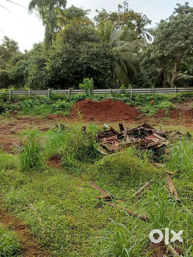 Sale of 2 BHK Semi furnished flats and Plots in Chicolna South Goa