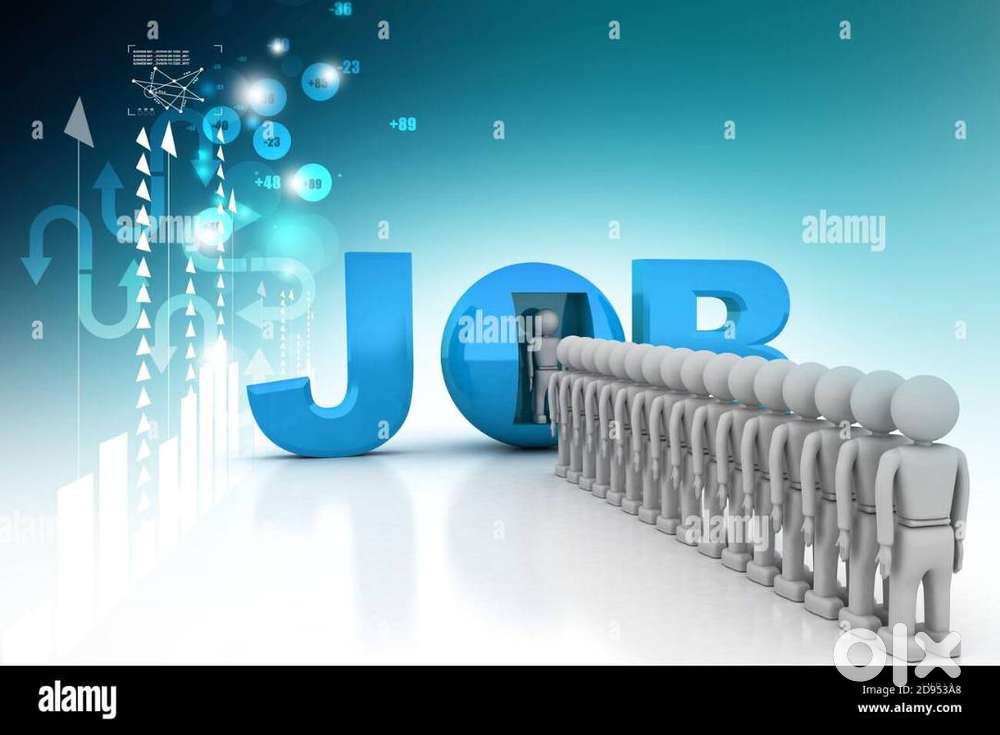 Realestate Sales Executive and Sales Manager