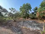 Plot for sale