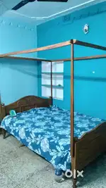Ladies PG near (Lokepur More)