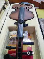 Musical instruments viloin