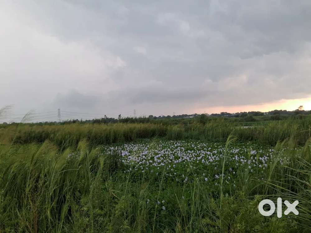 15 bega jamen h khati ki on rood bay pass delhi bay pass par