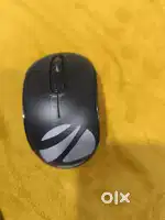 Zebronics and portronics
