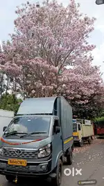 KMD Transport packers and movers