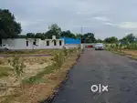 DADARI NAGAR PALIKA GREATER NOIDA TILPATA ROAD