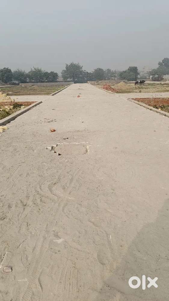 Plot Sale in noida extension