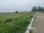 100 Gaz plot in New Chandigarh