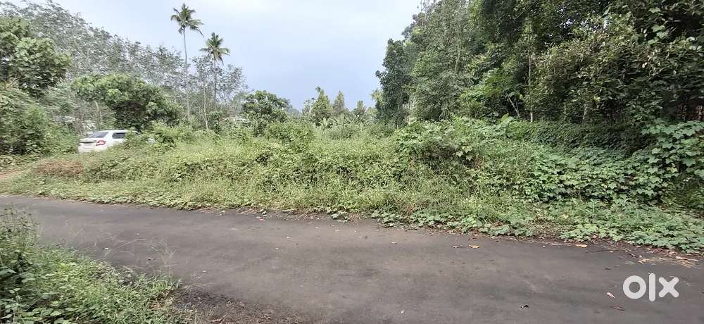 21.5 CENT HOUSE PLOT FOR SALE NEAR KADAYIRPPU