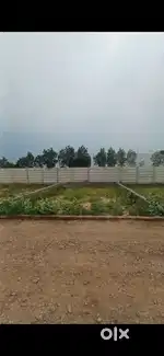 100 squad plot Noida Extension sector 12