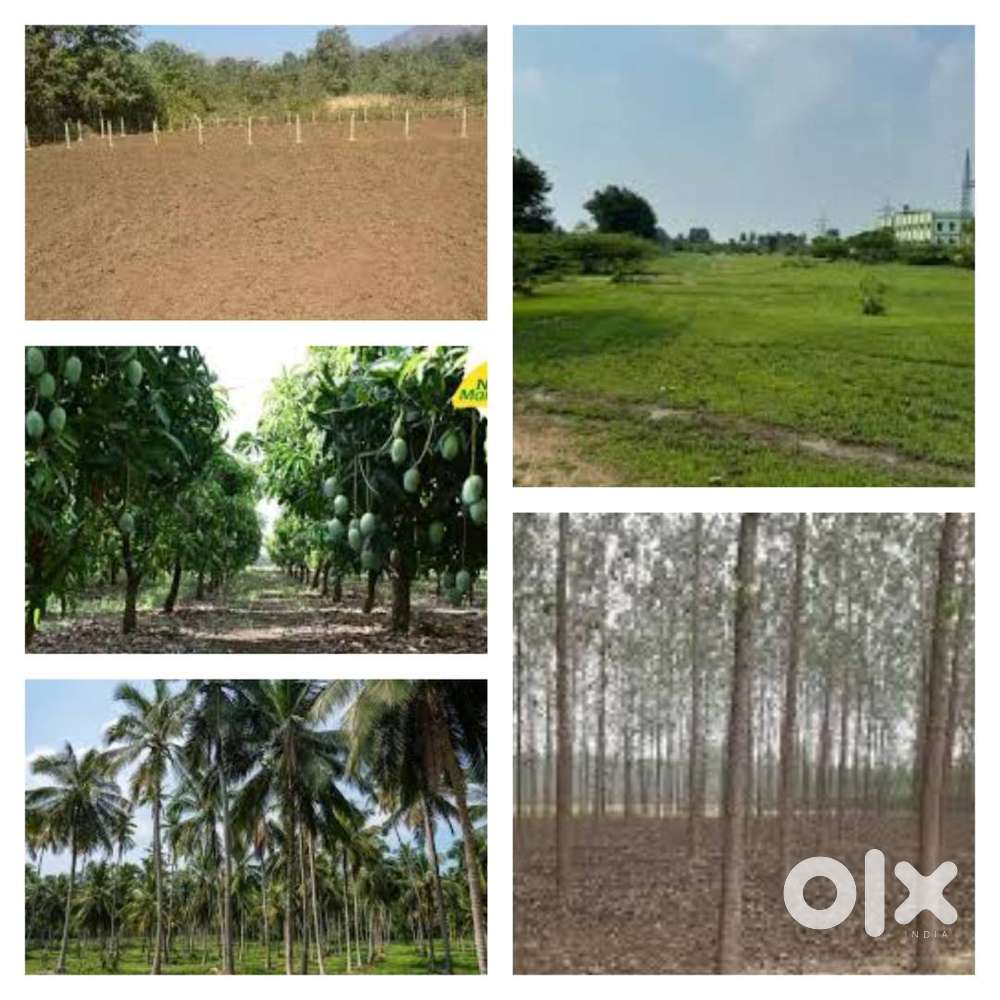 farming land for rent