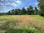 House plots 10,12,15 cents @ kothamangalam