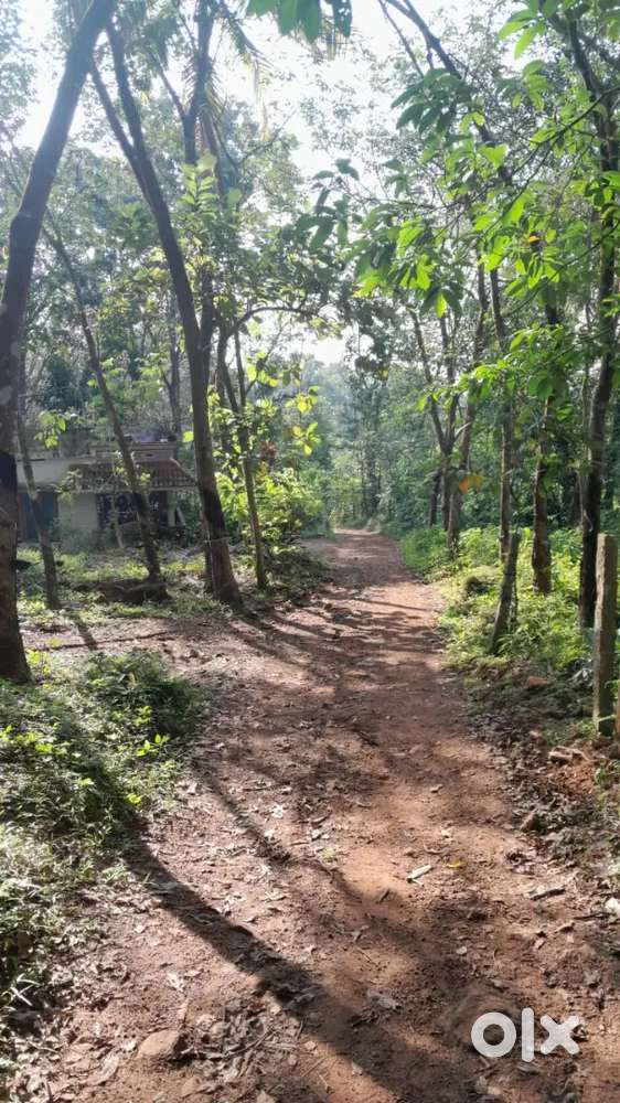 20 cent land for sale near thempamoodu, venjaramoodu