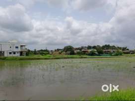 NA plots nearby international airport