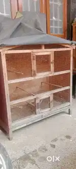 Love Birds Cage