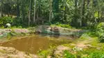 Natural Fish pound for sale