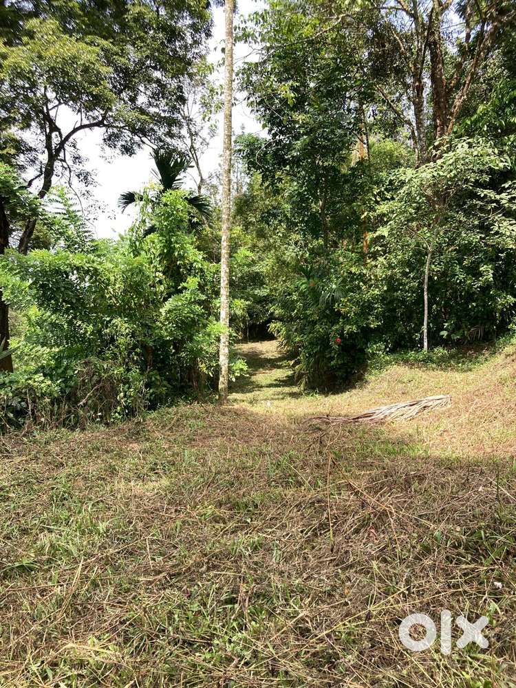 10 CENT COMMERCIAL LAND FOR SALE NEAR MIMS HOSPITAL CALICUT