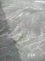 Cleaner wanted