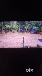 5 Cent plot
