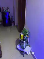 Haier 165Litre fridge (almost new)
