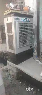 Classic coolar