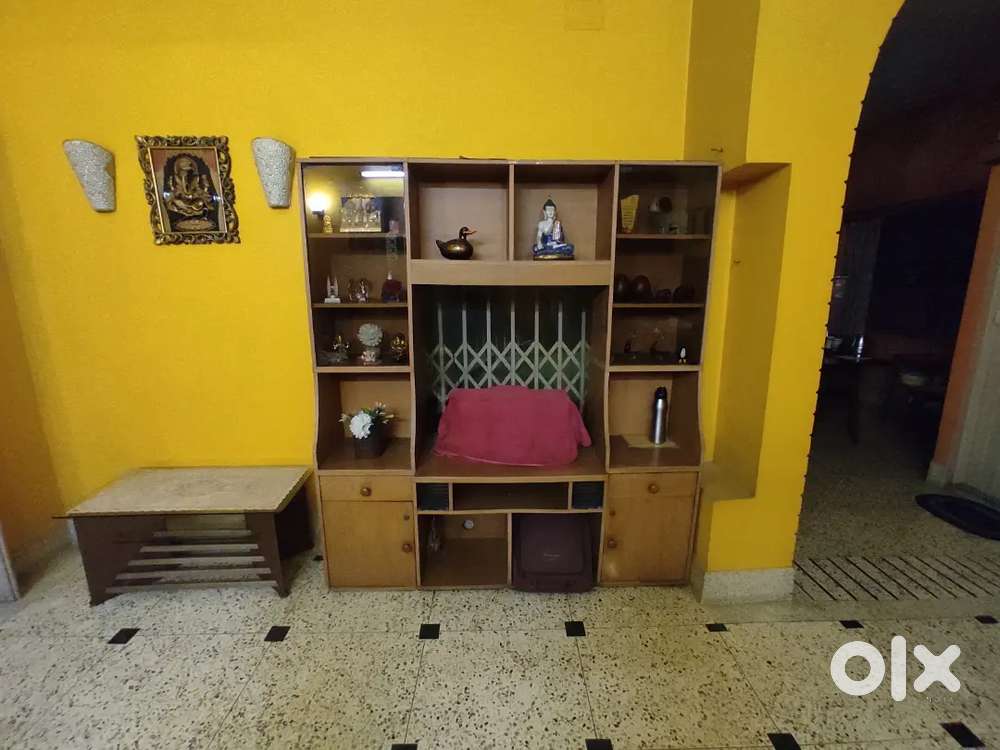 Multi-Purpose Plyboard Cabinet – Excellent Condition