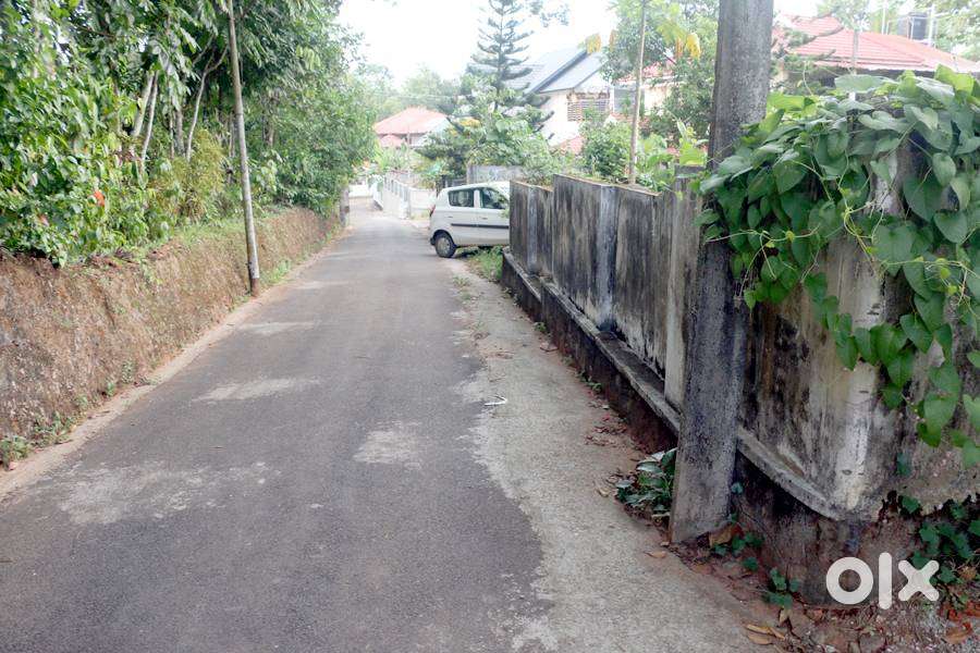 House plot 20 cents opp matha hospital 4.25 lakh/cent