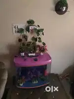 Rs-580A aquarium 2ft all accessories available