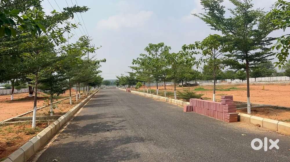 Plots in Ibrahipatnam