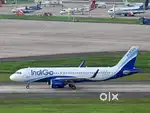New vacancies open in indigo airlines apply fast