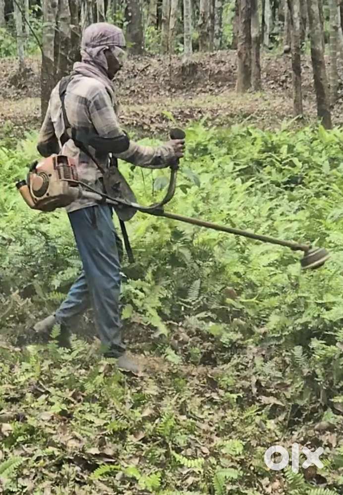 Home surroundings cleaning with Line trimmer 299 per hour